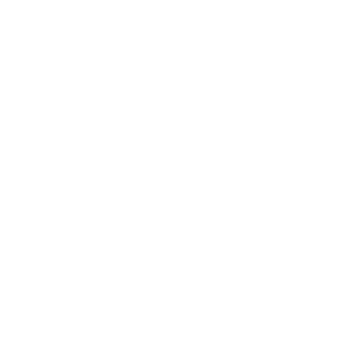 tiktok icon