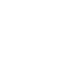 twitter icon